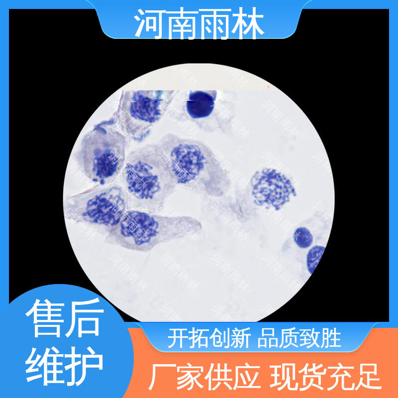 可提供材料 显微标本 支持定制 细胞清晰 雨林教育工程