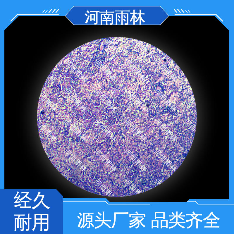 雨林教育工程 个性化定做 显微切片 可后期加工