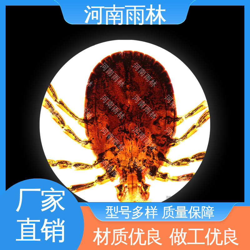 雨林教育 厂家销售 可提供材料 病害标本 细胞清晰