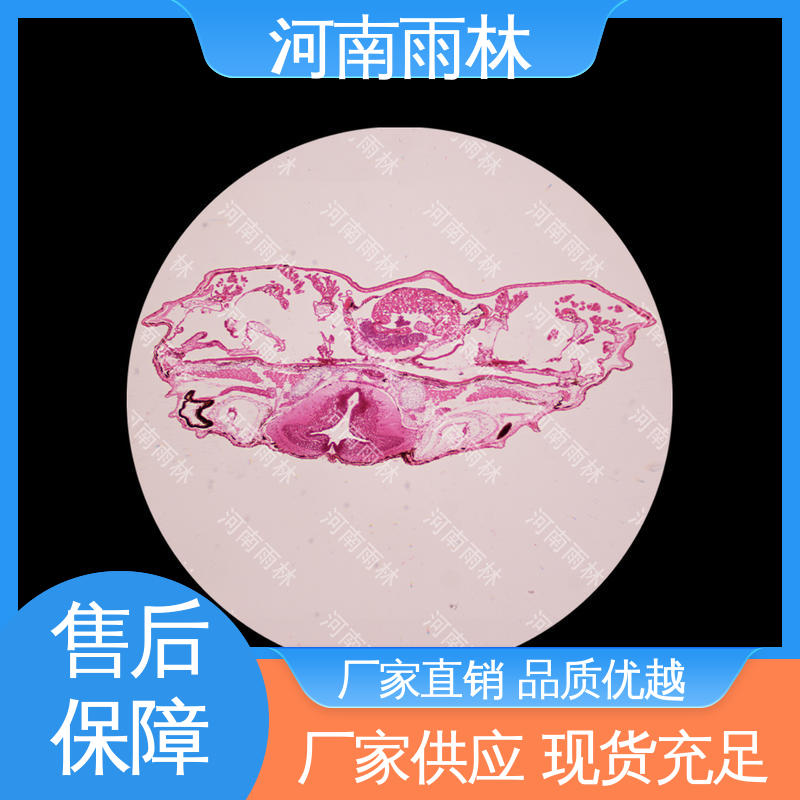 雨林教育工程 售后无忧 质量保障 厂家销售 植物切片