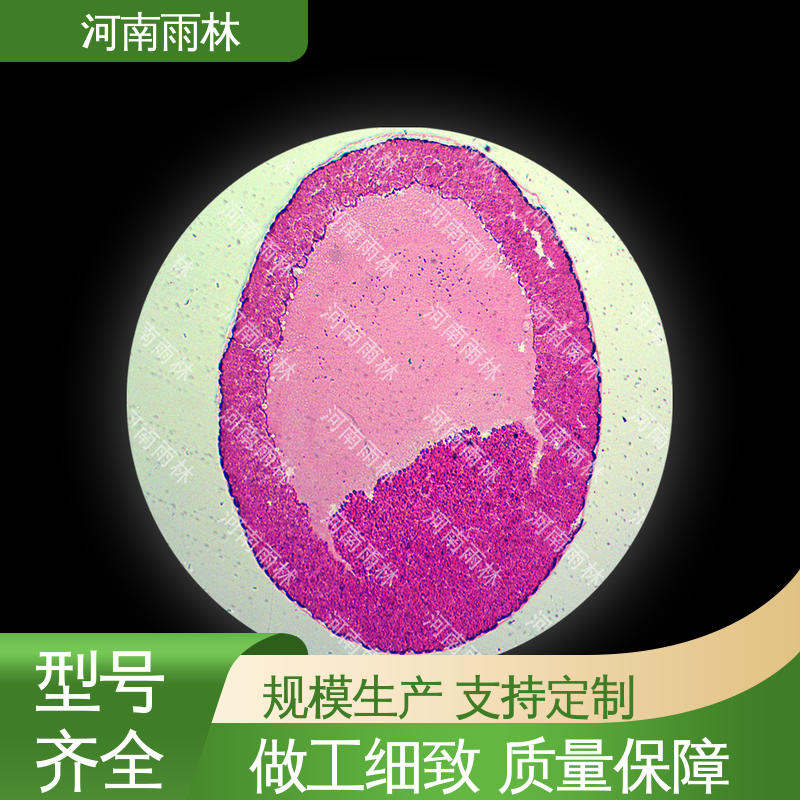 质量保障 售后无忧 支持定做 生物切片 雨林教育工程