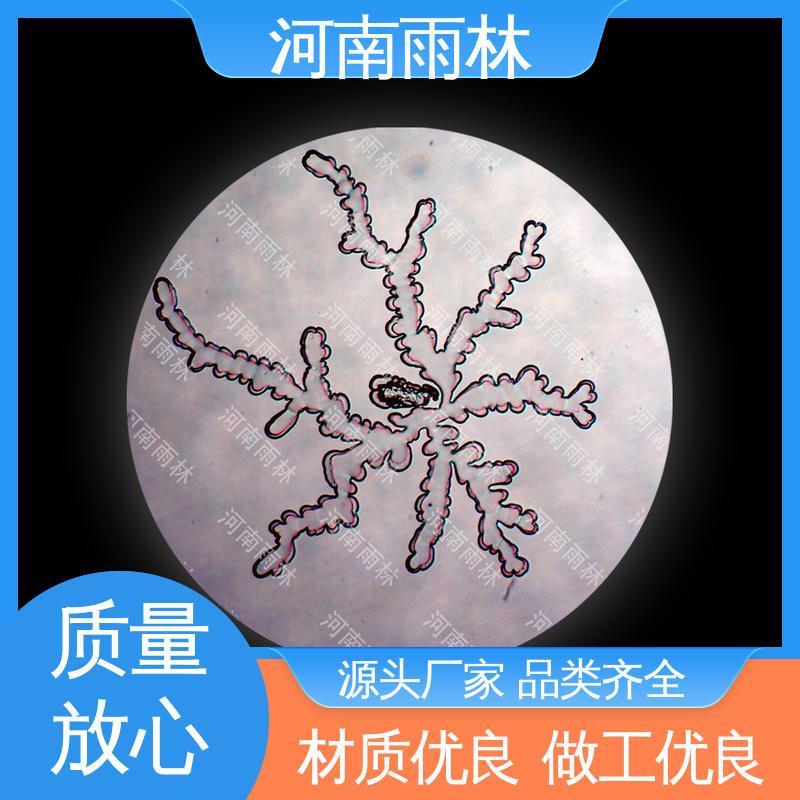 雨林教育 售后无忧 源头工厂 植物切片 一对一质检