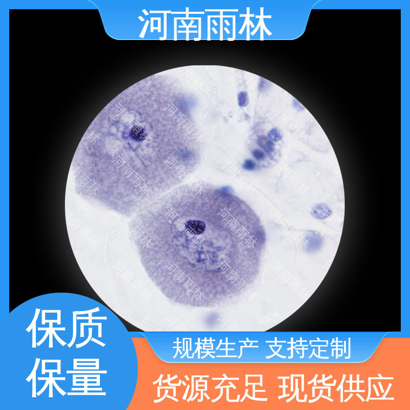 品质优良 生物切片 性价比高 支持定制 雨林教育