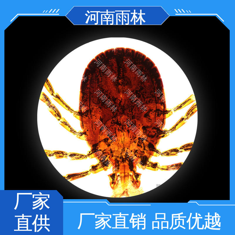 售后无忧 实验标本 源头工厂 品质优良 雨林教育工程