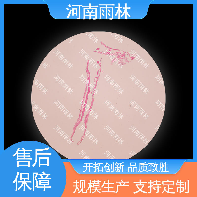 一对一质检 厂家销售 各类标本 质量优 雨林教育