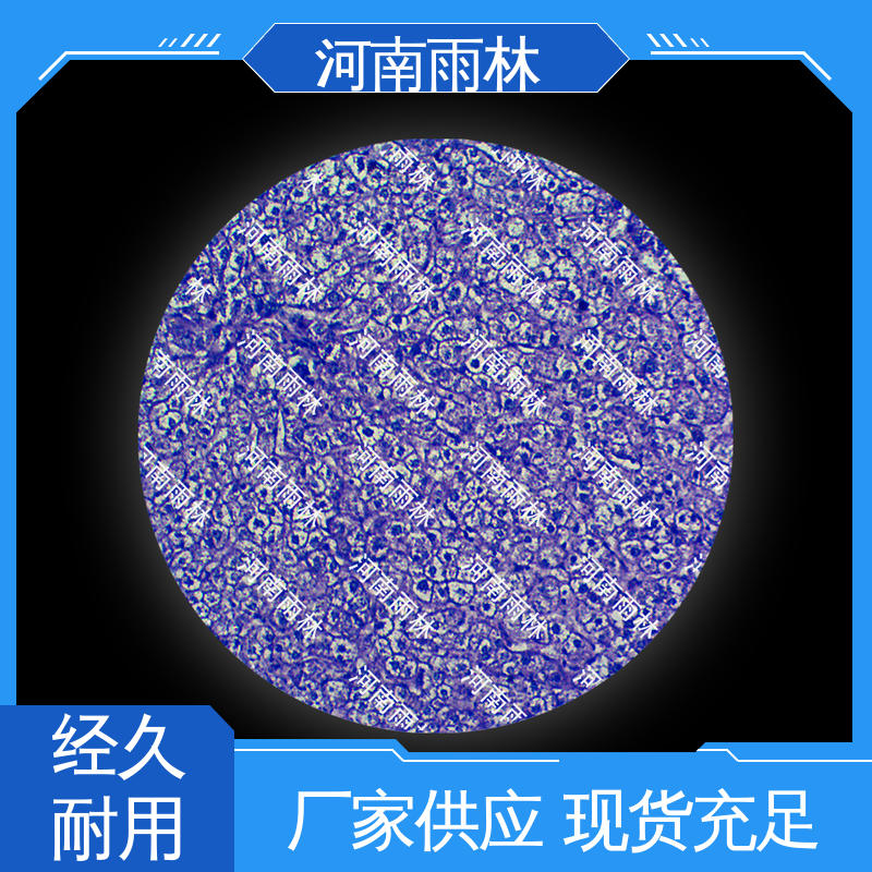 雨林教育 可定制 实验标本 厂家销售 一对一质检