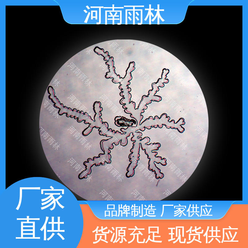 雨林教育 种类丰富 生物标本 可一对一定制 售后无忧