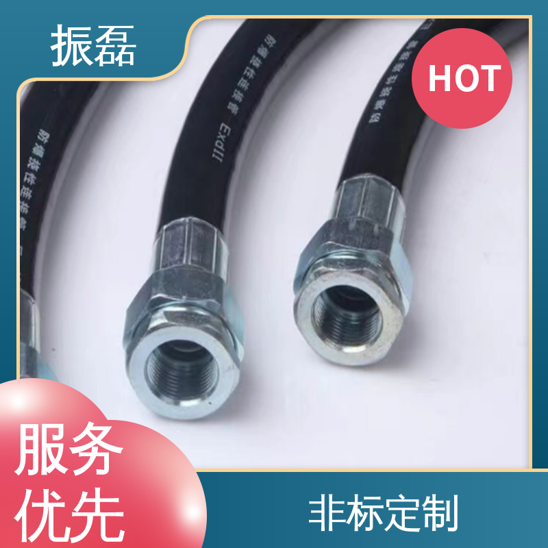 振磊 防爆挠性管连接 厂家供应 32*1000 防水防尘