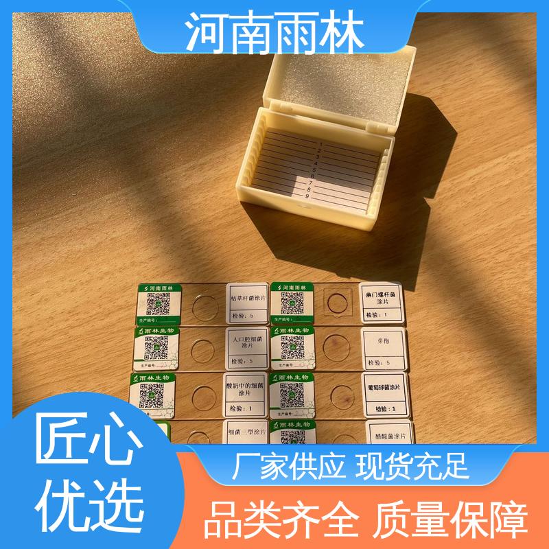 雨林教育 实验标本 售后无忧 支持定制 质量保障