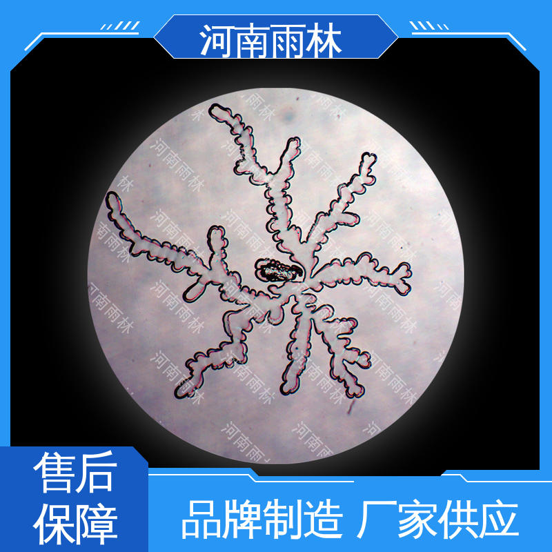 源头工厂 可后期加工 一对一质检 植物标本 雨林教育