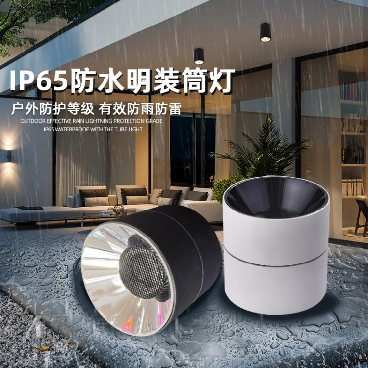 户外明装防水筒灯IP65 雨棚防雨LED射灯高铁机场地铁工程高空照明
