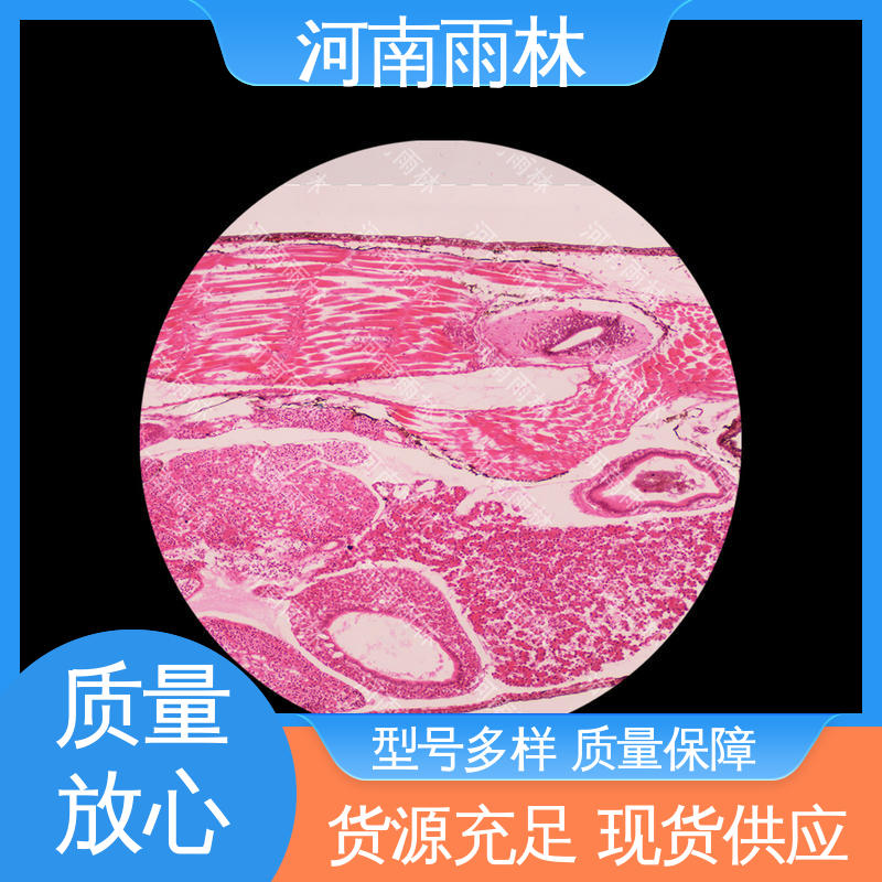 雨林教育工程 一对一质检 专业 售后无忧 显微切片