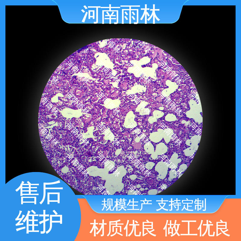 一对一质检 可提供材料 植物切片 支持定制 雨林