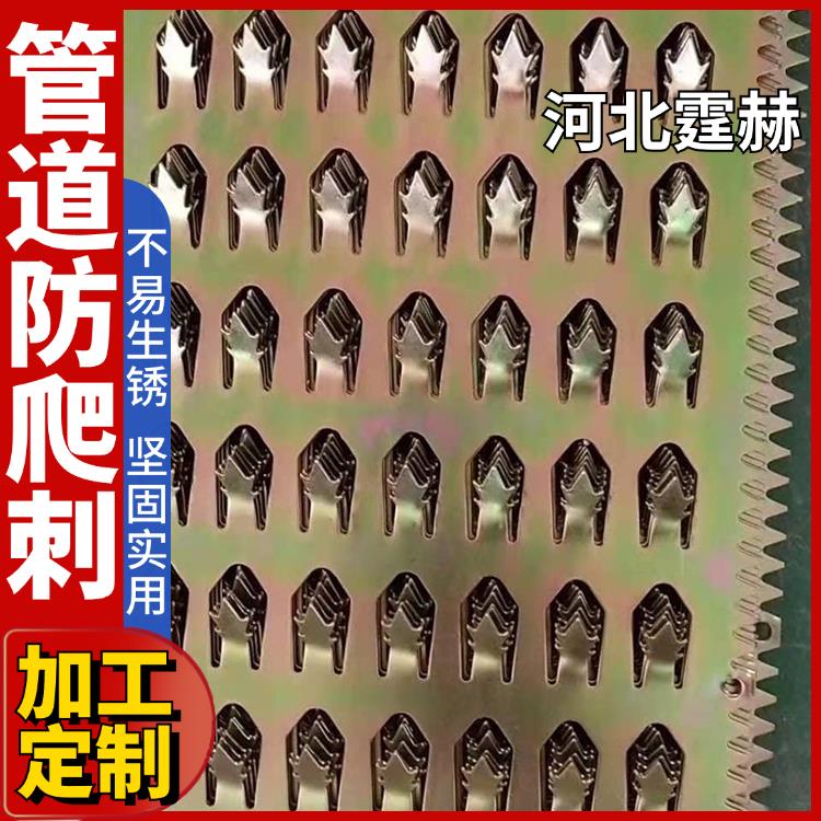 霆赫 管道带刺防爬刺 围墙镀锌滚笼 小区阻爬阳台防护刺钉 坚固实用