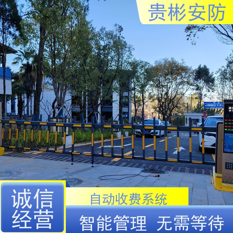贵彬安防 小区门禁升降杆 无人值守车牌识别 全自动系统 货源充足