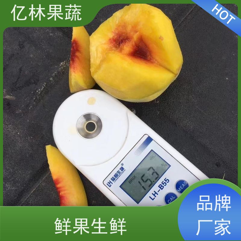 亿林苗木 桃树苗 嫁接技术指导 抗寒能力强 基地直发