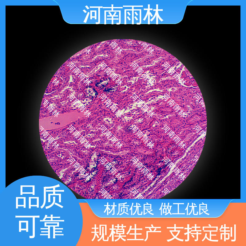 品质优良 生物切片 厂家销售 质量优 雨林教育工程