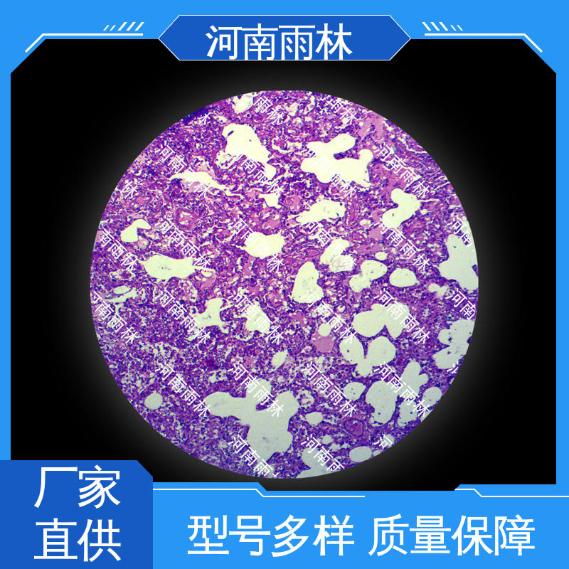 教学切片 售后无忧 个性化定做 一对一质检 雨林教育工程