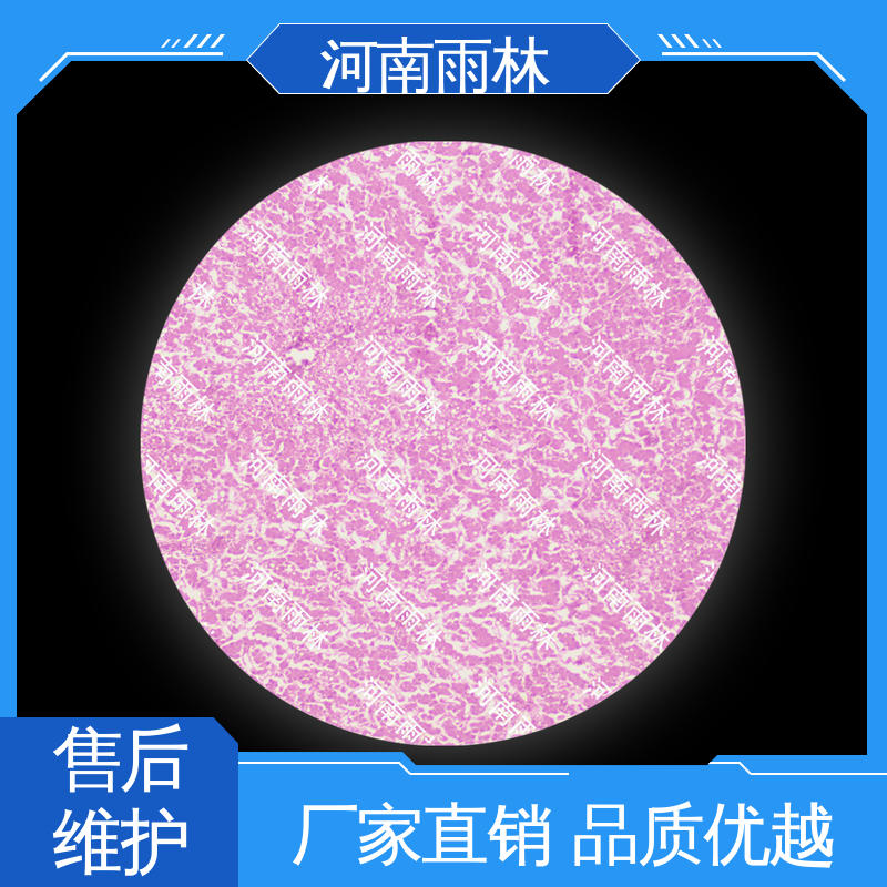 教学切片 可提供材料 品质优良 支持定制 雨林教育