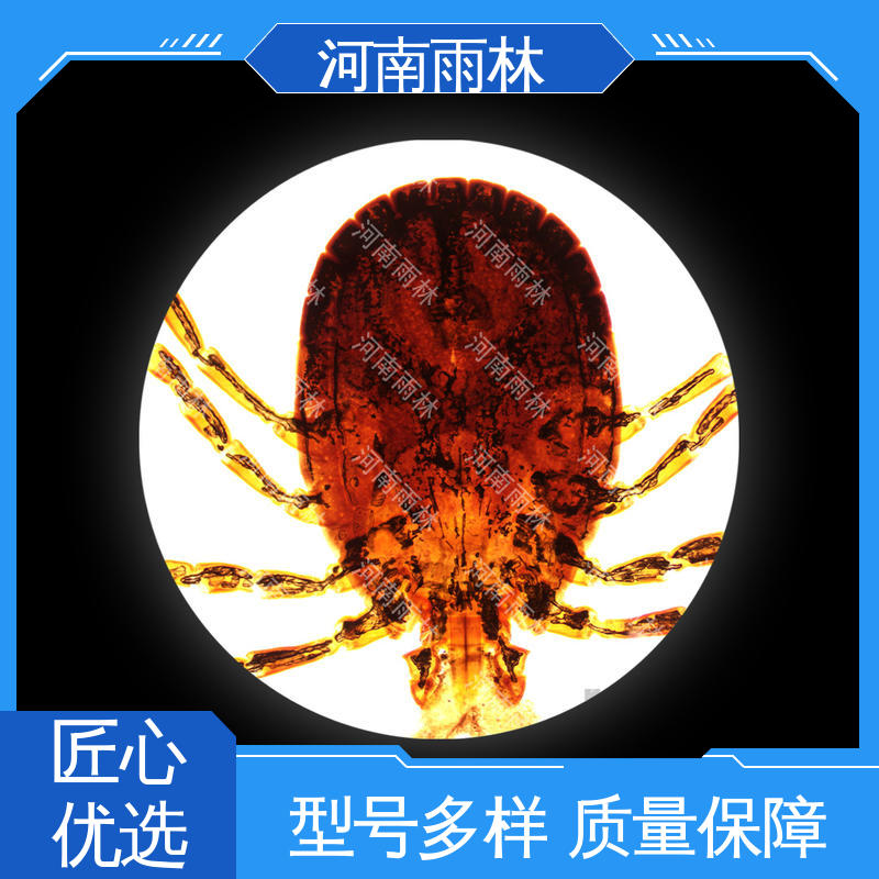 雨林教育工程 售后无忧 一对一质检 个性化定做 生物切片