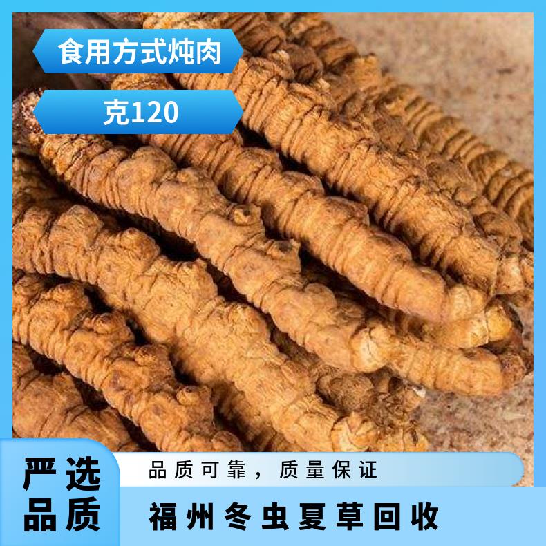 冬虫夏草回收 免费上门收购虫草 燕窝 茅台 洋酒 散装礼盒