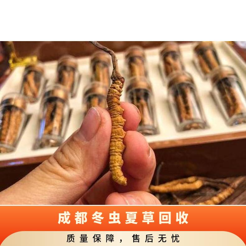 冬虫夏草回收 24小时收购虫草 茅台 散装礼盒装 长期 炖肉 防蛀