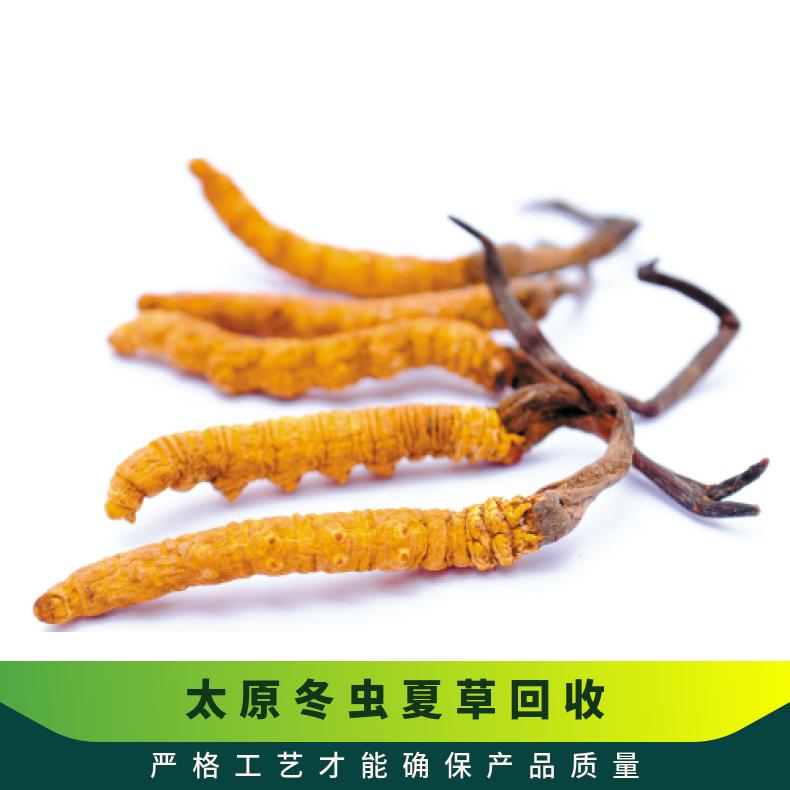 冬虫夏草 洋酒 名酒 24小时上门回收 棕黄色 防蛀 散装礼盒装 长期 炖肉