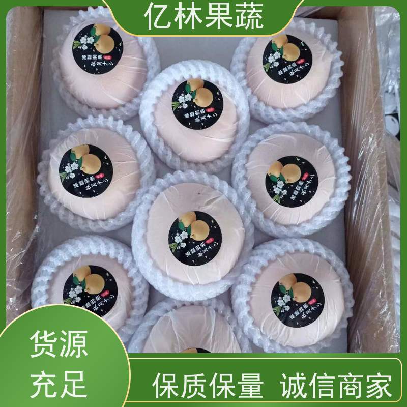 亿林苗木 根系饱满成活率高 新农酥梨 现挖现发 中华玉梨树苗
