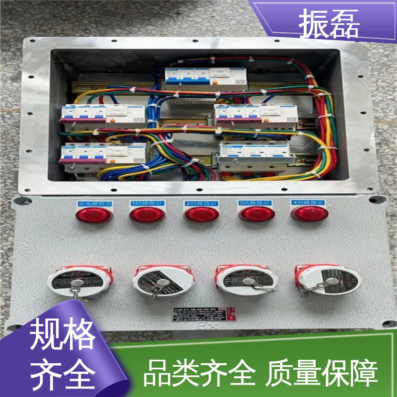 振磊 BXM(D)8050 bxm防爆照明动力配电箱 2/4/6/8/10K可定制