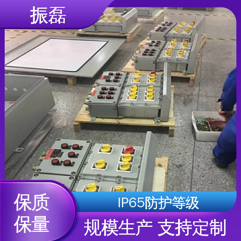 风机控制柜 FXM防爆防腐照明动力配电箱 生产厂家 化工厂 加油站 振磊