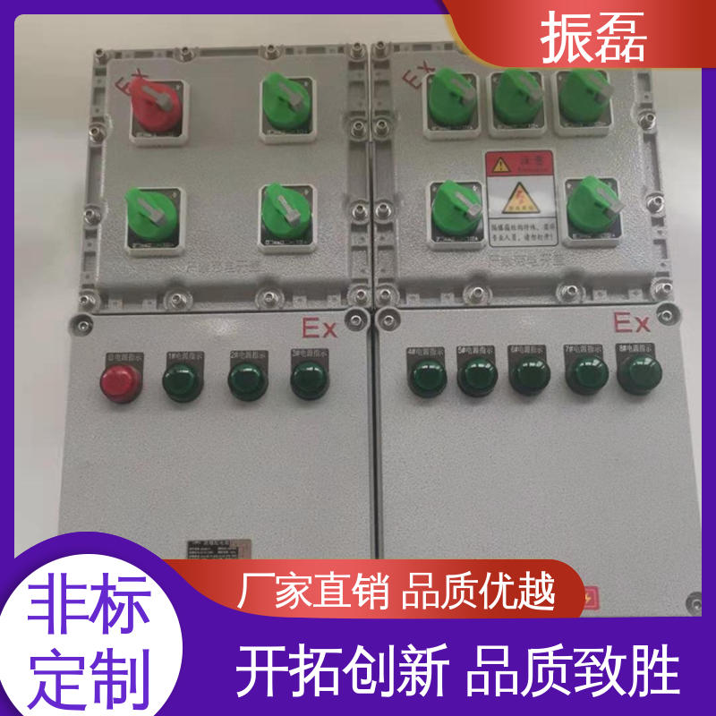 KAKY矿用控制柜IP54 非标检修箱 不锈钢配电箱 振磊