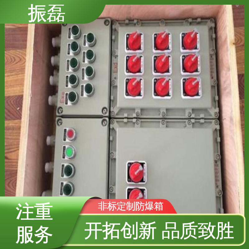 IP66 IIBT6级 户内户外 bxm防爆照明动力配电箱 振磊