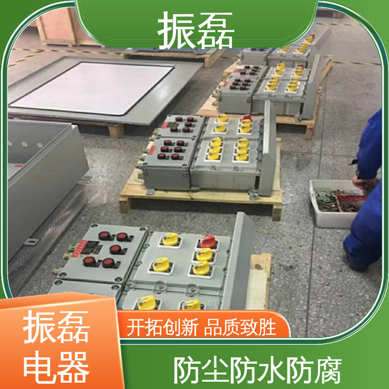 振磊 非标检修箱 风机控制柜 BXM8050防爆防腐照明动力配电箱 工地