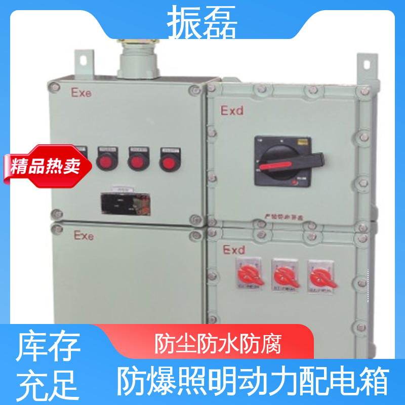 振磊 bxm防爆照明动力配电箱 BXM(D)8050 生产厂家 IP66 IIBT6级