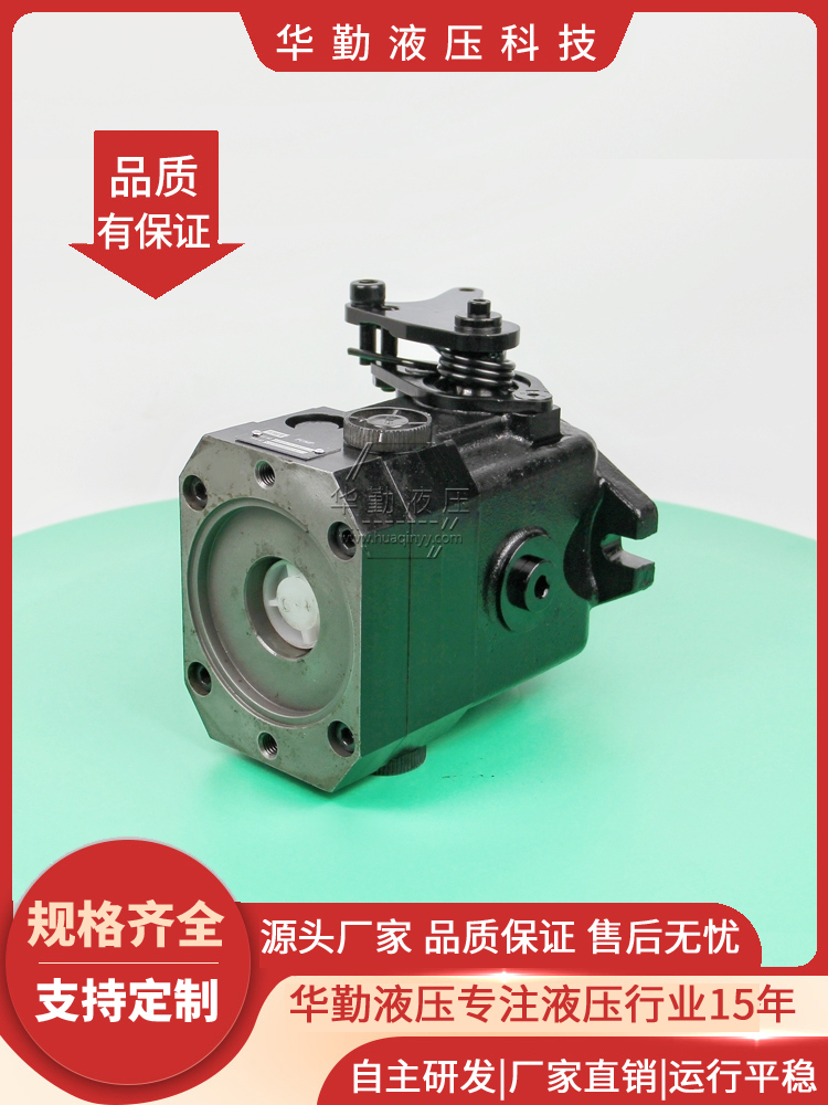 双联轴向变量柱塞泵 质量持久耐用，产品精工制造 厂家直发 华勤液压