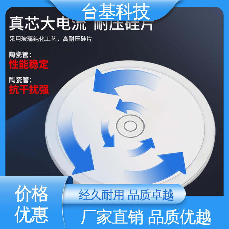  烧接磁料散热好 ZP-3000A 平板整流管 CTAIJI台基