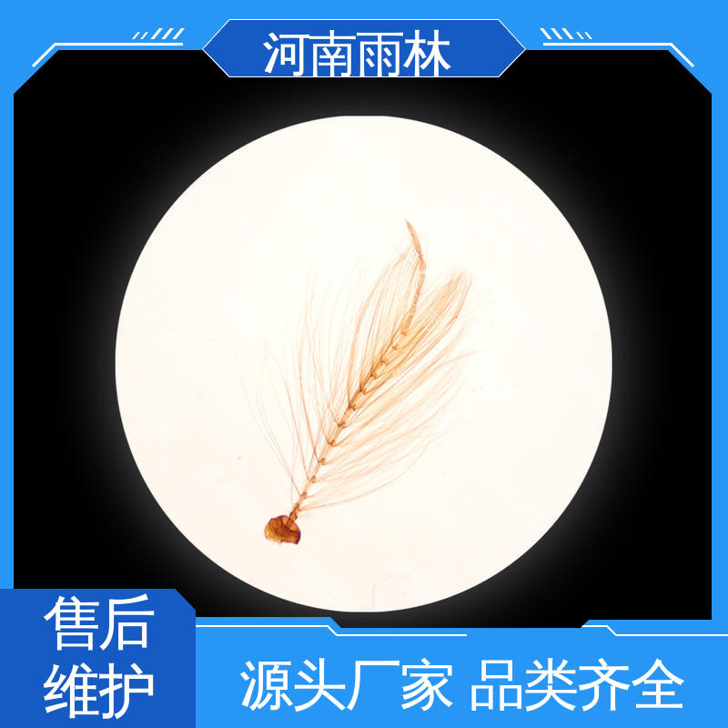 雨林教育 个性化定做 实验切片 可定制 一对一质检