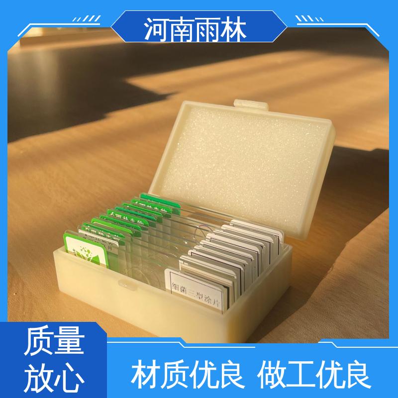 雨林教育工程 支持定制 显微切片 品质优良 质量优