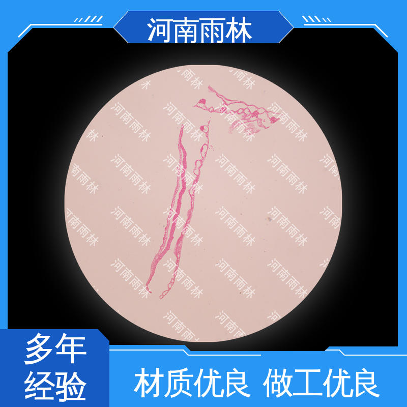 雨林教育工程 细胞清晰 源头工厂 可提供材料 各类标本