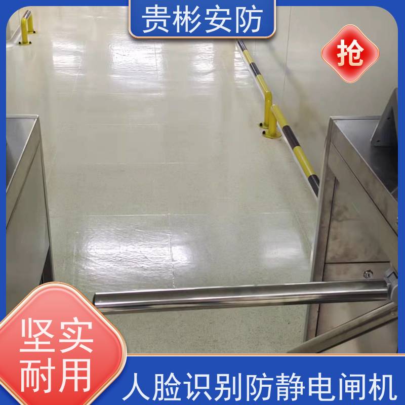 贵彬安防 闸机门禁系统 esd静电测试摆闸 品质稳定 口碑好 适用广泛