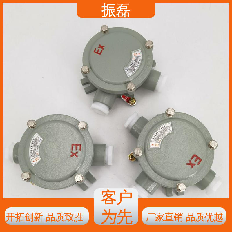 防爆接线盒 AH系列 防腐等级WF2 管螺纹可定制 振磊