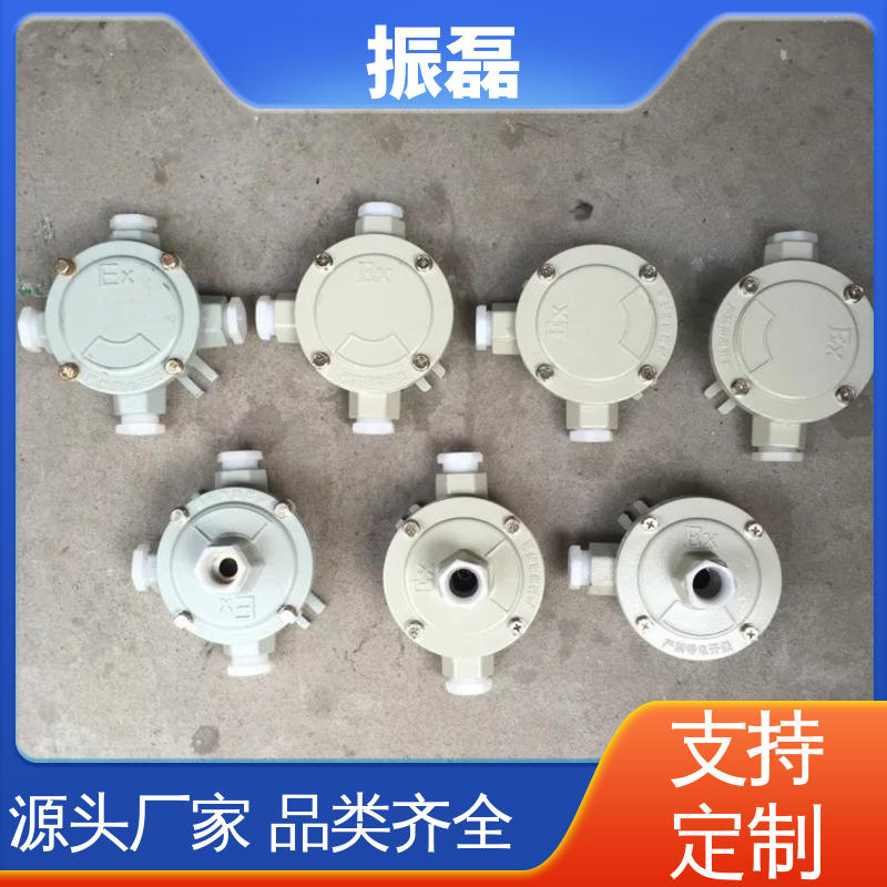 防爆两通接线盒 BHD51 过线穿线铝合金分 直角吊防护等级 振磊