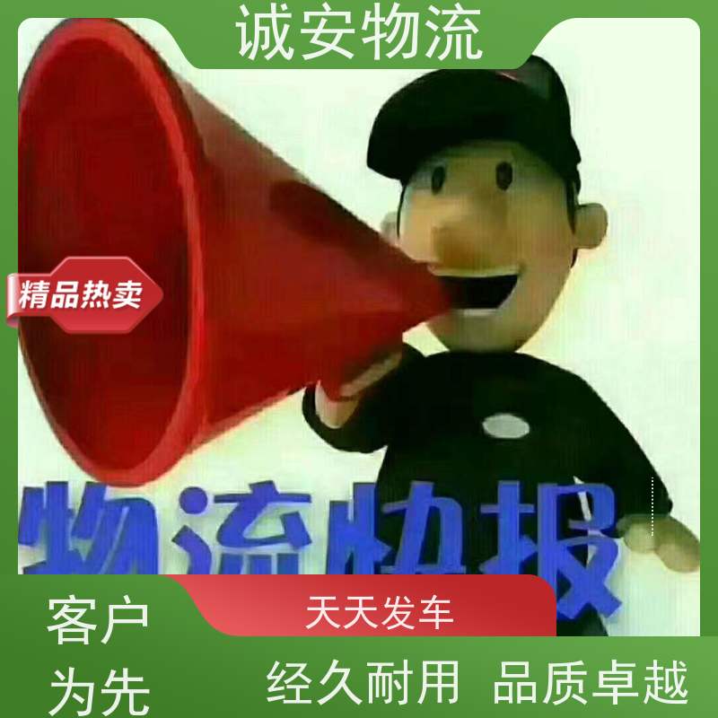 诚安物流40尺自备柜东莞到深圳进口报关半天到