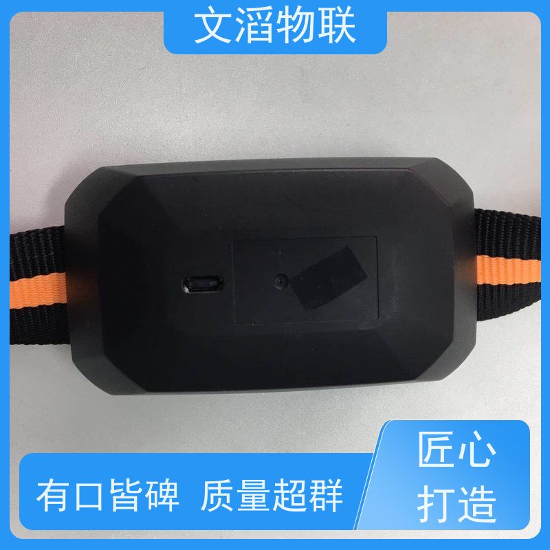 文滔物联 牛B超 GPS定位发情监测颈圈 源头厂家 
