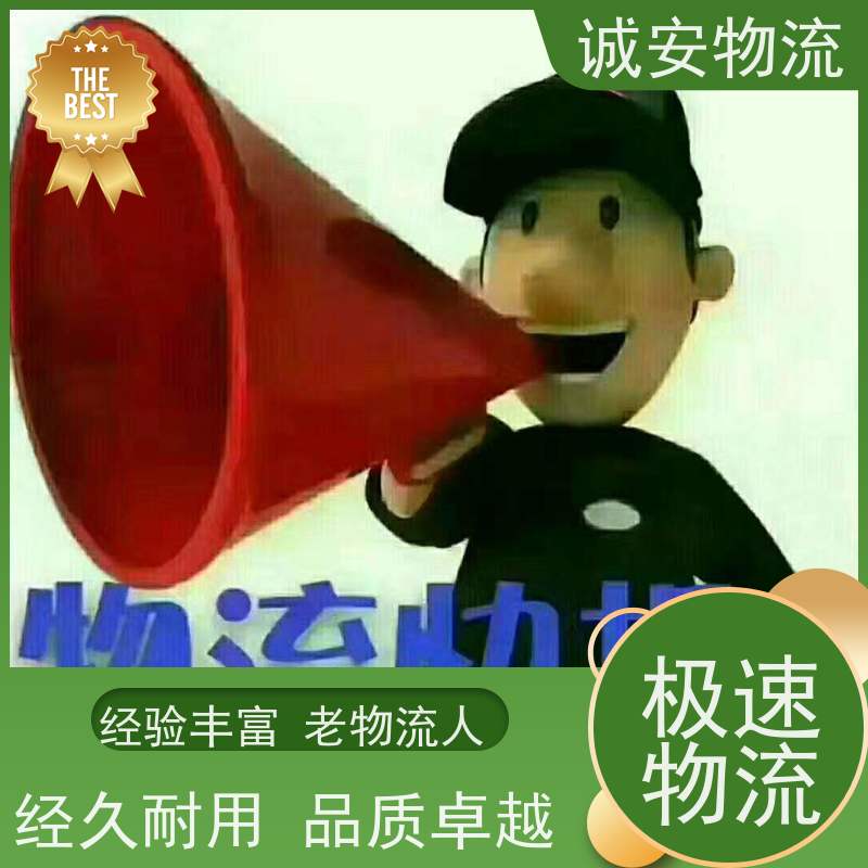 诚安物流12吨车 河源至东莞进口报关 品质卓越