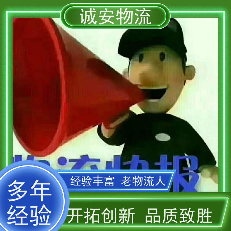 诚安物流40尺自备柜深圳到香港专人跟单隔天到