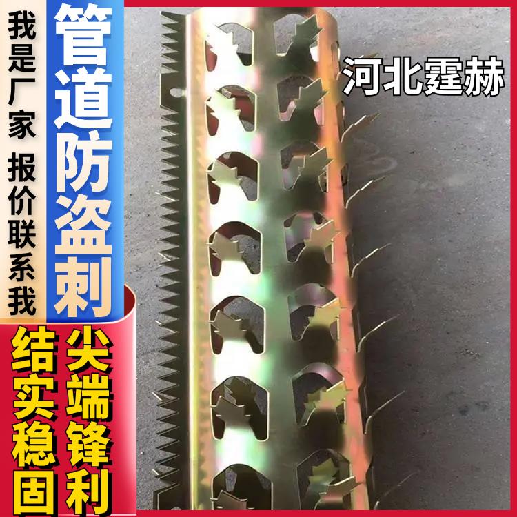 霆赫 管道带刺防爬刺 围墙镀锌滚笼 小区阻爬阳台防护刺钉 生产厂家