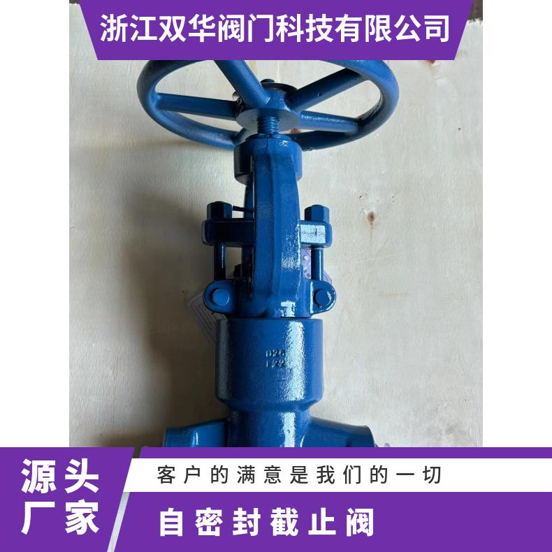 J61Y锻钢自密封截止阀 螺纹 高温高压 无外泄漏 双华阀门