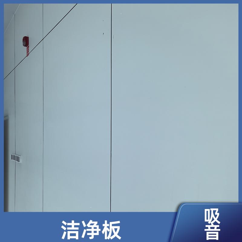 玛克伯爵 医用抗菌板 舞蹈教室 耐酸碱 1220*3000*8 吸音