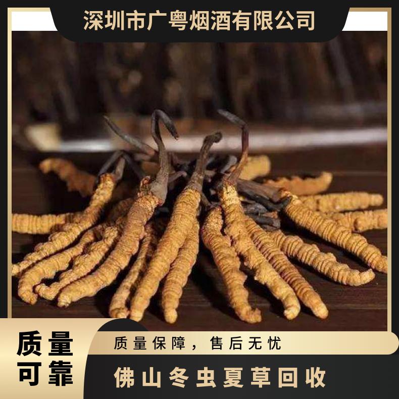 冬虫夏草回收 棕黄色 洋酒 燕窝 鱼胶长期收购 散装礼盒装